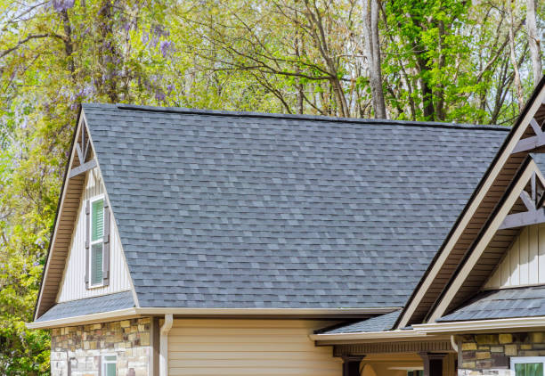 Best Green or Eco-Friendly Roofing Solutions  in Desoto Lakes, FL